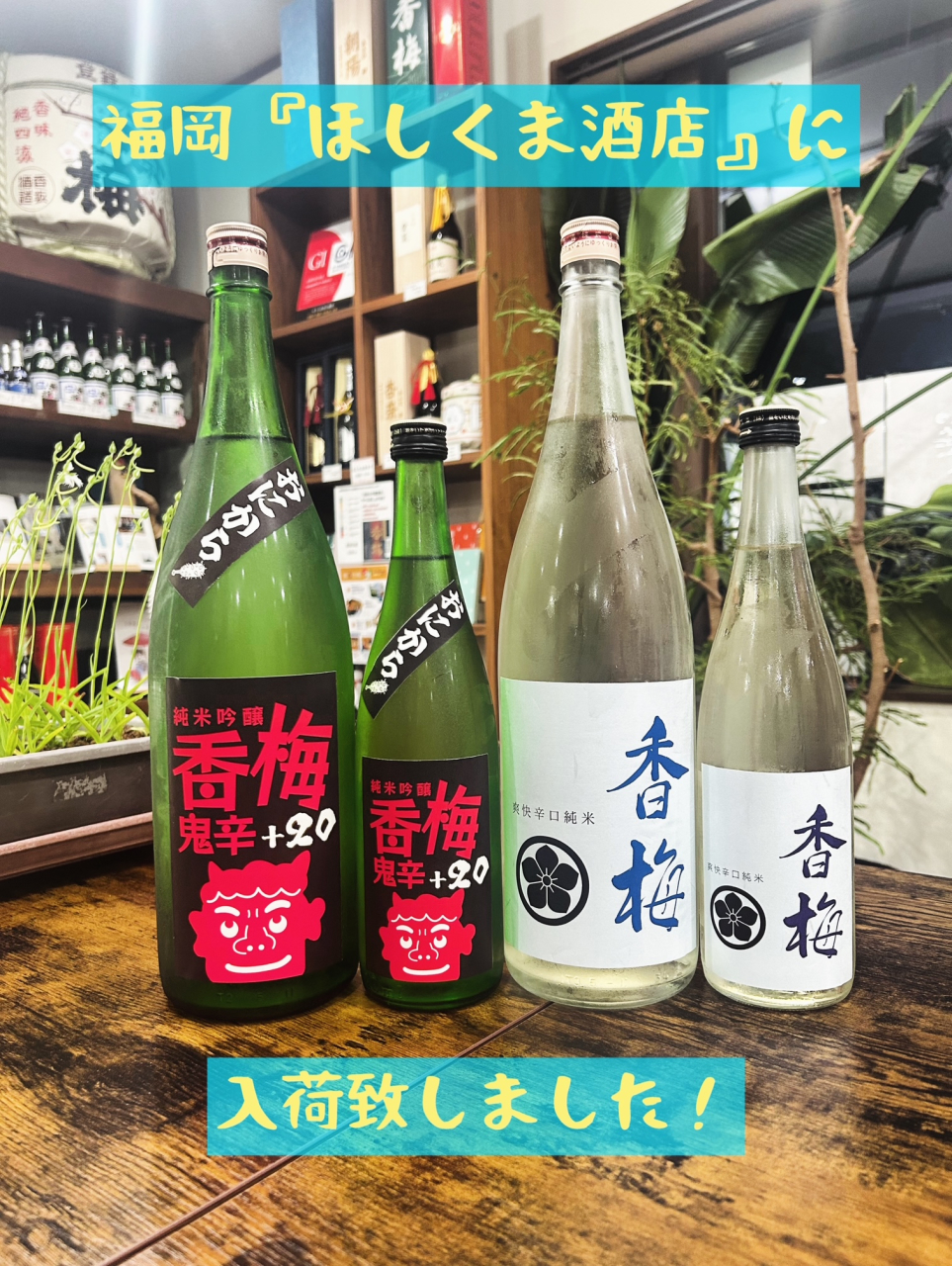 福岡県ほしくま酒店入荷致しました☆